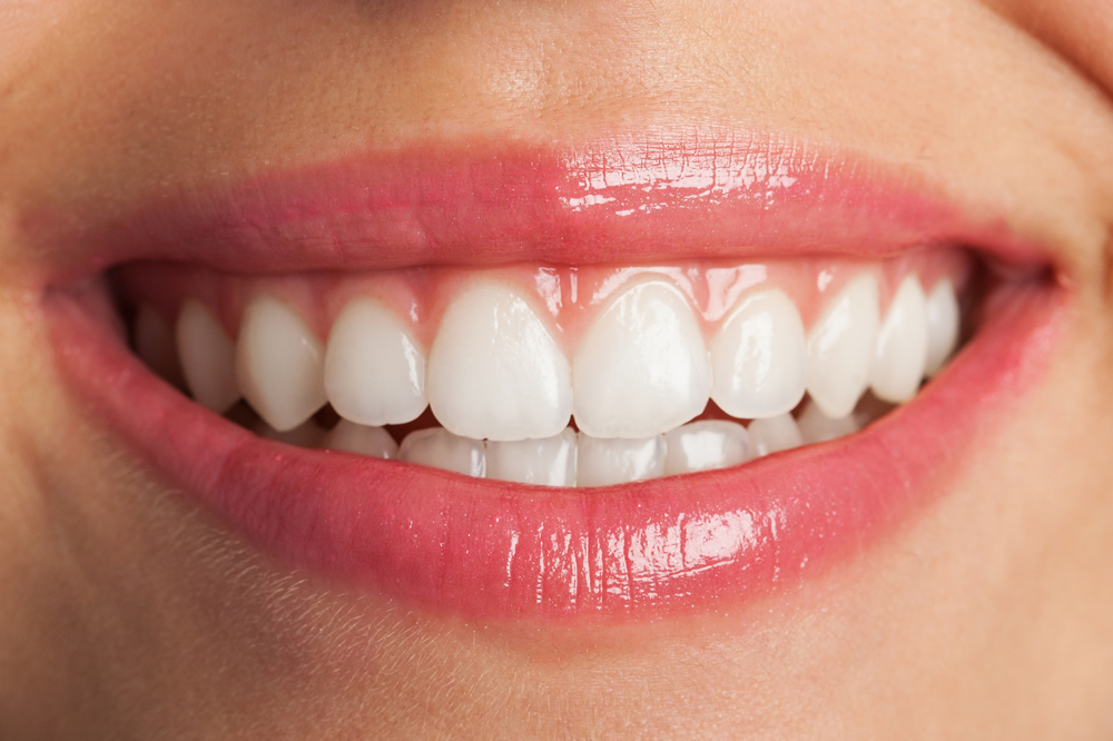 Periodontia